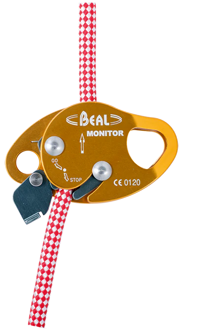MONITOR