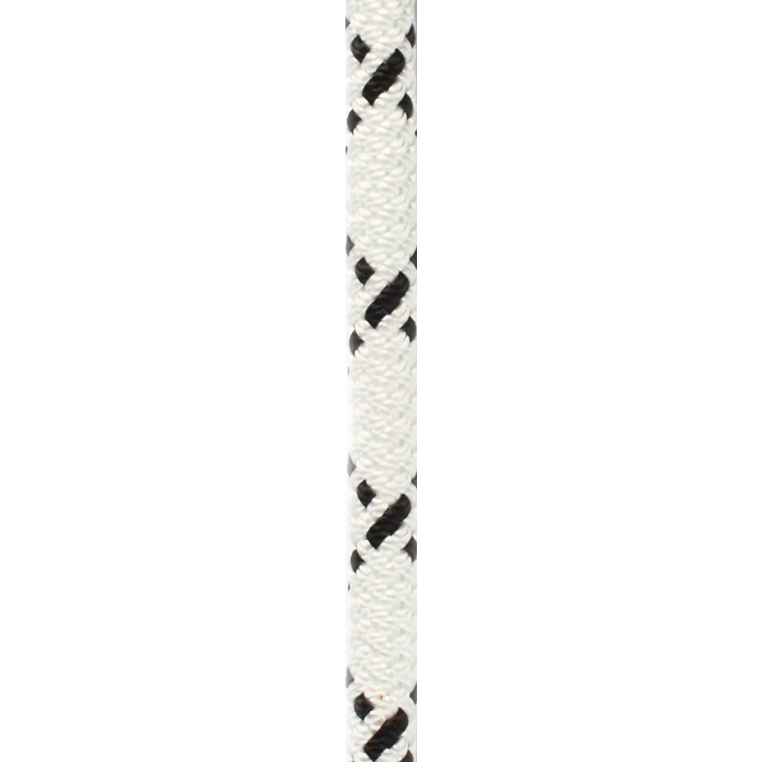 SEGMENT 11MM - Image 3